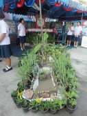 DSC00908.JPG