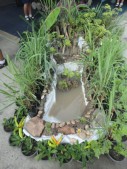 DSC00909.JPG
