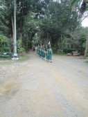 DSC05693.JPG