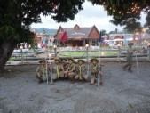 DSC05820.JPG