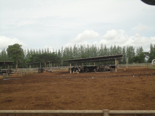 DSC03994.JPG
