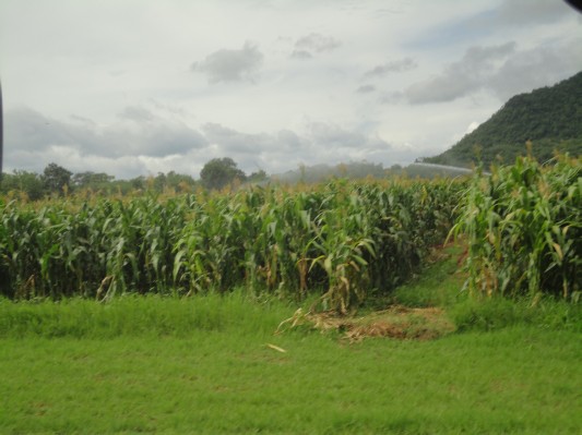 DSC04000.JPG