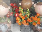 DSCF0653.JPG