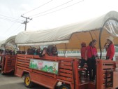 DSC03980.JPG