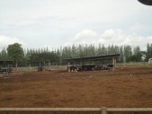 DSC03994.JPG