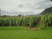 DSC04000.JPG