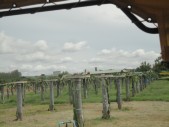 DSC04001.JPG