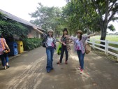 DSC04003.JPG